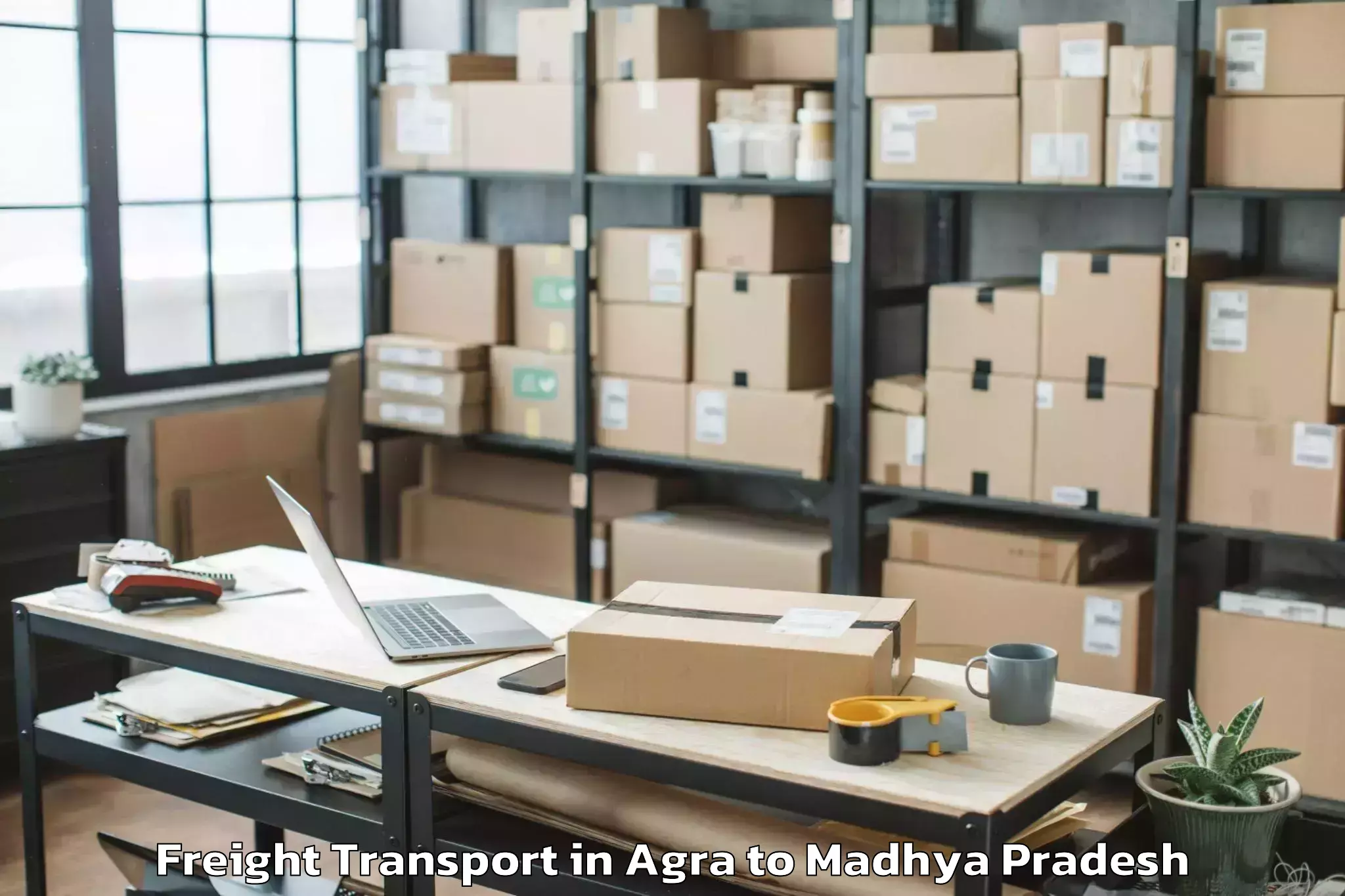 Reliable Agra to Raghogarh Freight Transport